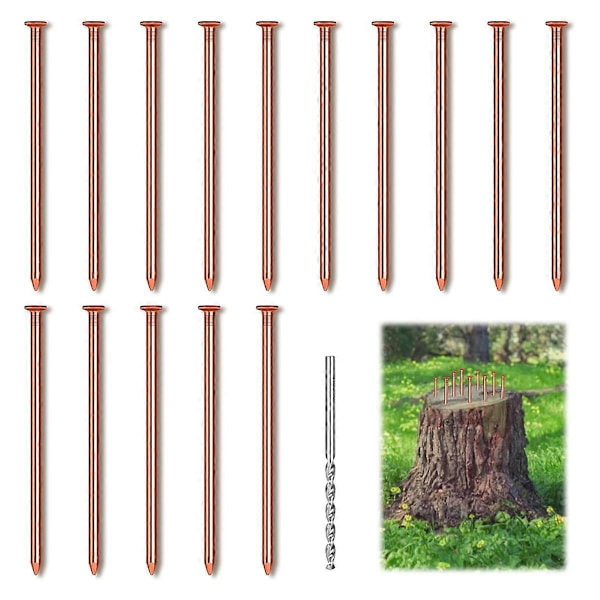 15 stk Kobbernagler for å drepe trestubberøtter, 8 cm lange rene kobbernagler med bor, stubbfjerning pigger