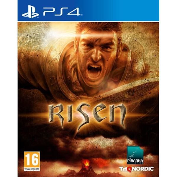 Videospil - Risen - PS4 - Action - Blu-Ray - 1 afspiller