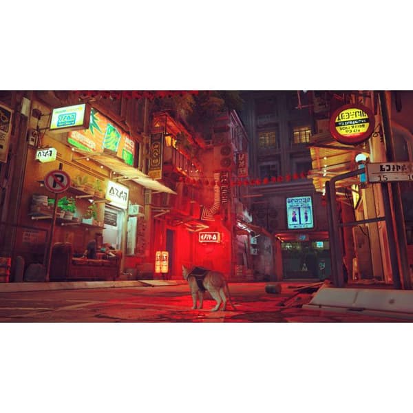 Videospil - Stray - Nintendo Switch - Eventyr - Import - Spille på Fransk