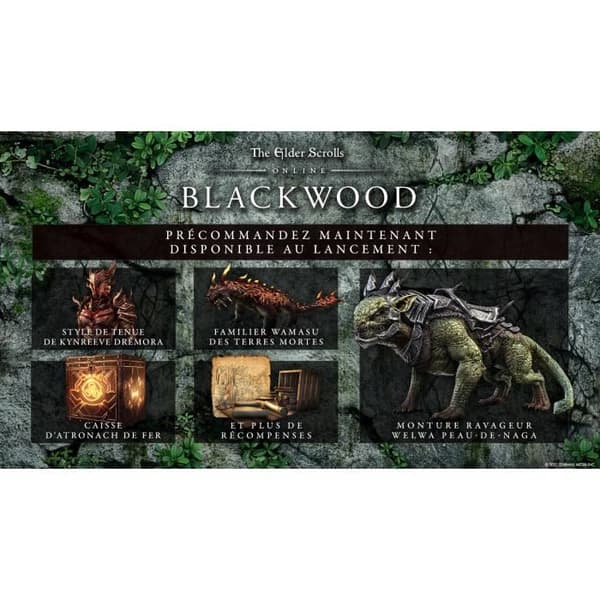 The Elder Scrolls Online: Blackwood Collection PS4-spel Vit