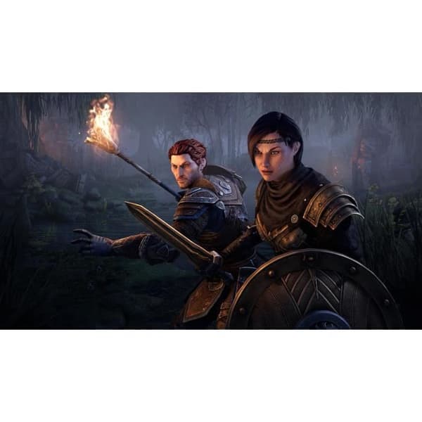 The Elder Scrolls Online: Blackwood Collection PS4 -peli Vit