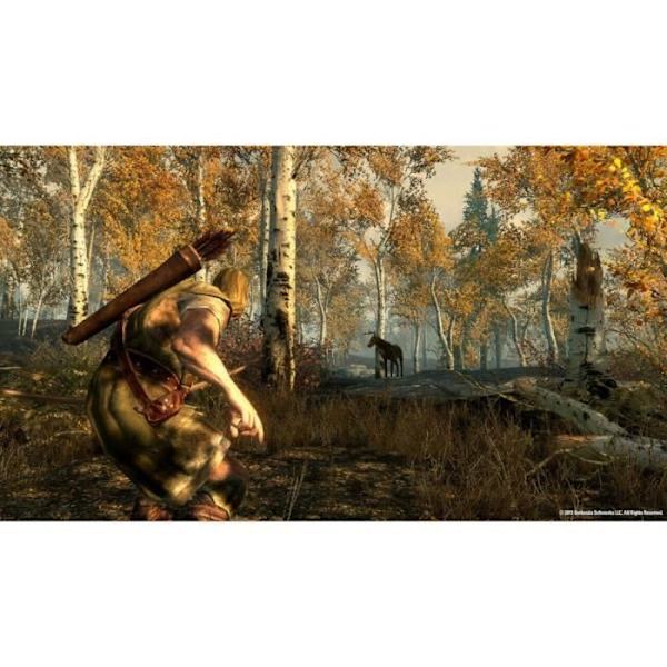 The Elder Scrolls V: Skyrim • Nintendo Switch-spil