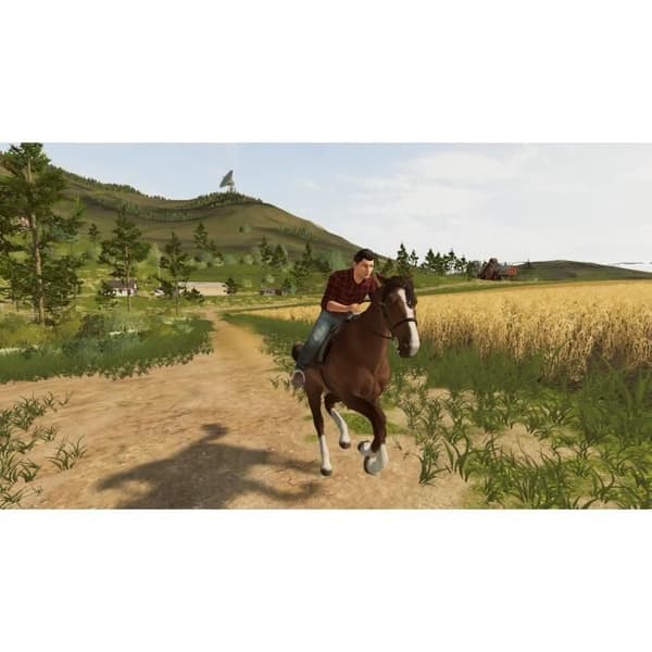 Farming Simulator 20 Peli Switch Vit