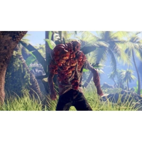 Videospil - Deep Silver - Dead Island Definitive Edition - PS4 - Voksen - Sort