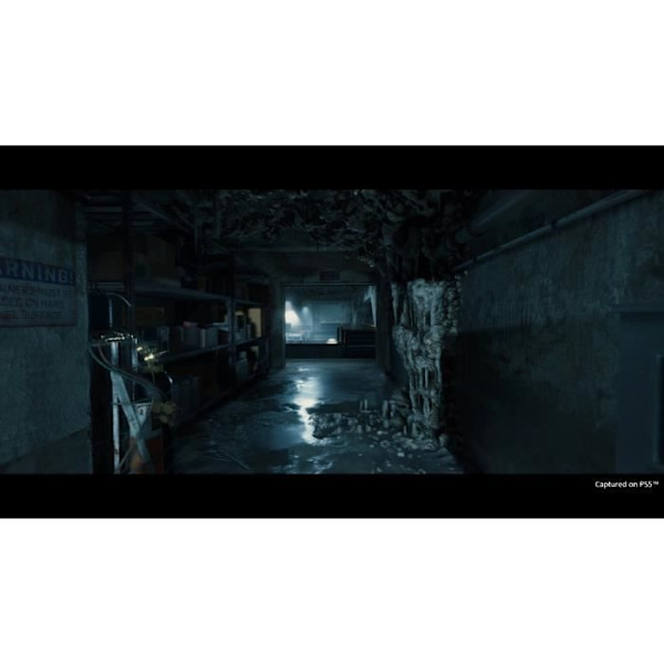 Spel - Sony Interactive Entertainment - Death Stranding Director's Cut - Action - PS5 - Boxed Vit
