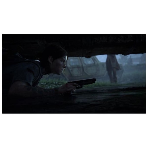 The Last of Us Part 2 på PS4, Standard Edition, Fysisk version, 1 afspiller - Italiensk import