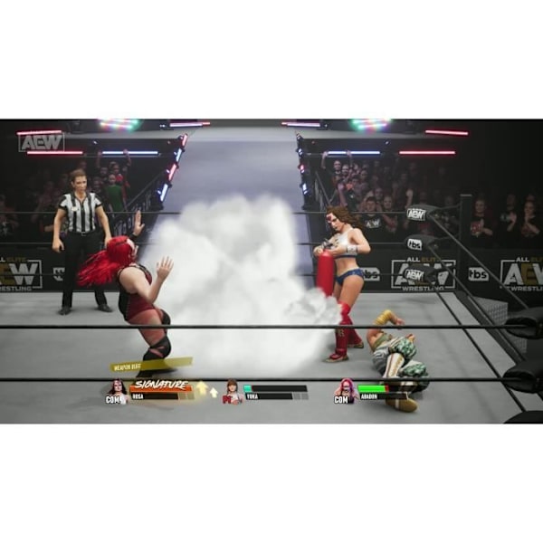 AEW All Elite Wrestling Fight Forever Playstation 4-spel Blå