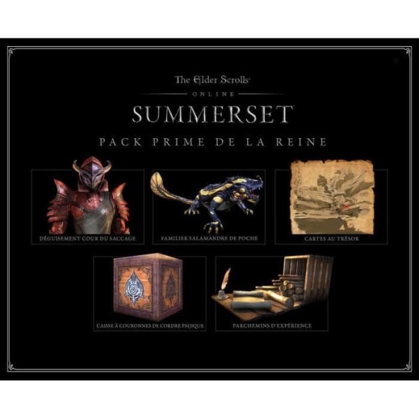 The Elder Scrolls online: Summerset PLAYSTATION 4 Vit