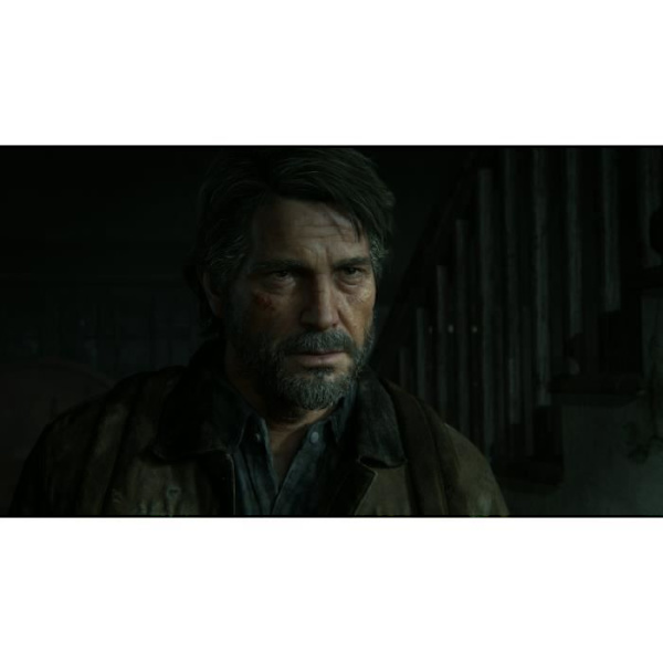 The Last of Us Part II PS4-spil Vit