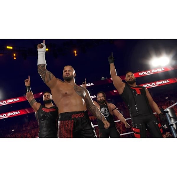 WWE 2K25 - PS5-peli Flerfärgad