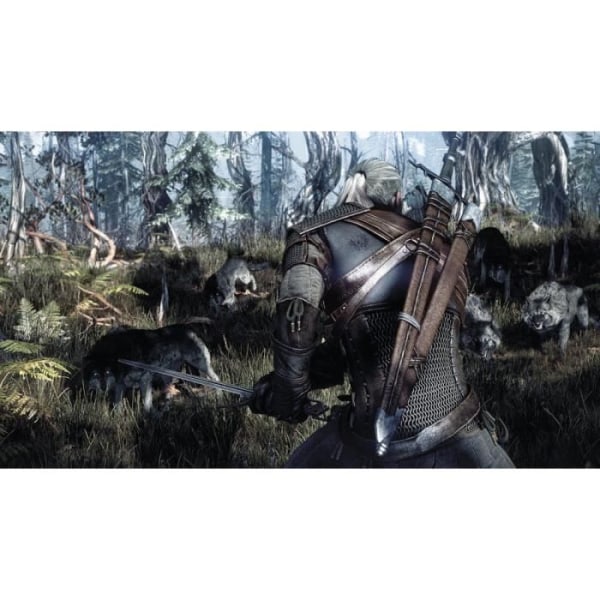 The Witcher 3: Wild Hunt Goty Edition Jeu Xbox One Vit