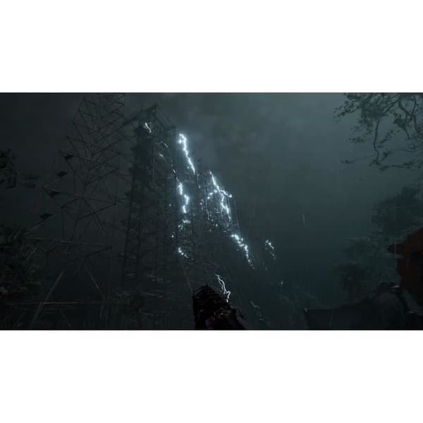 S.T.A.L.K.E.R. 2 HoC - Day One Edition - PS5 Spil