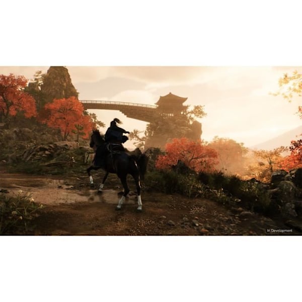 Rise of the Ronin – PS5-spel