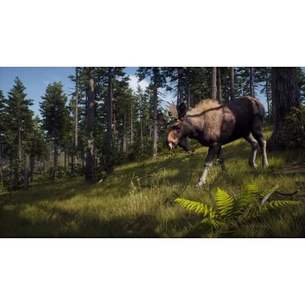Way of the Hunter Xbox Series