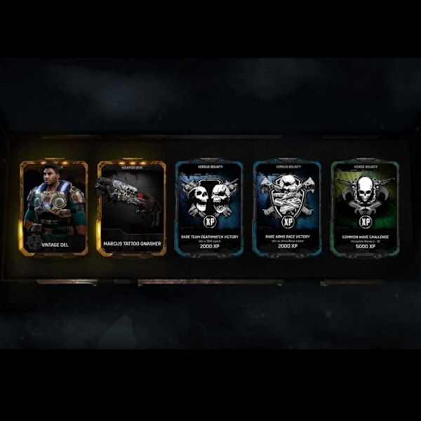 Gears of War 4 - Xbox One-spil Vit