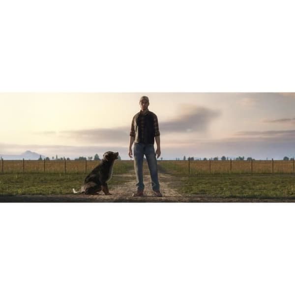 Farming Simulator 19 Spil PS4 Vit