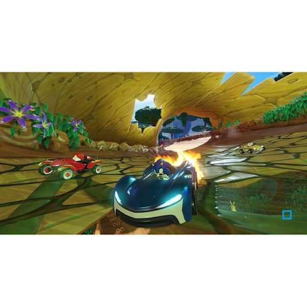 Ajopeli - SEGA - Team Sonic Racing - Aikuiset - Mixed - Urheiluvaatteet