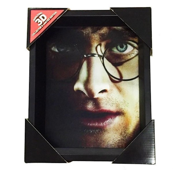 3D-plakat - Harry Potter - Harry/Voldemort - Multifarvet - Moderne - Rektangulær Flerfärgad