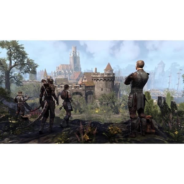 The Elder Scrolls Online: Blackwood Collection PS4 -peli Vit