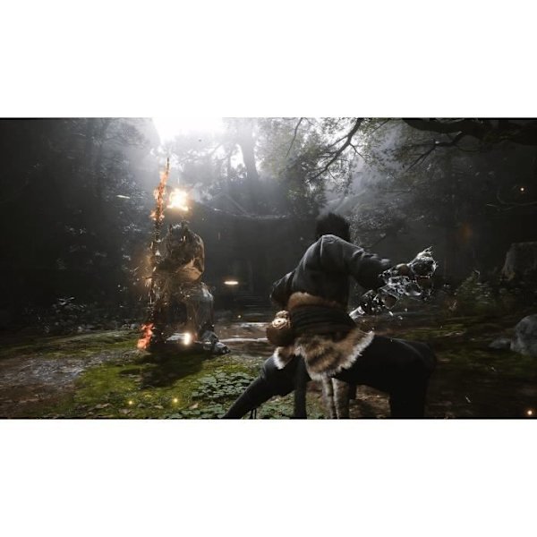 Black Myth: Wukong - PS5-spil