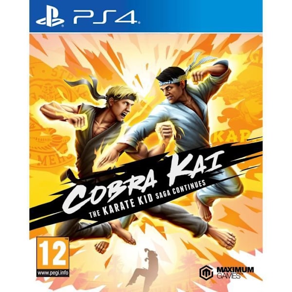 Cobra Kai: The Karate Kid Fortsætter PS4-spil Vit