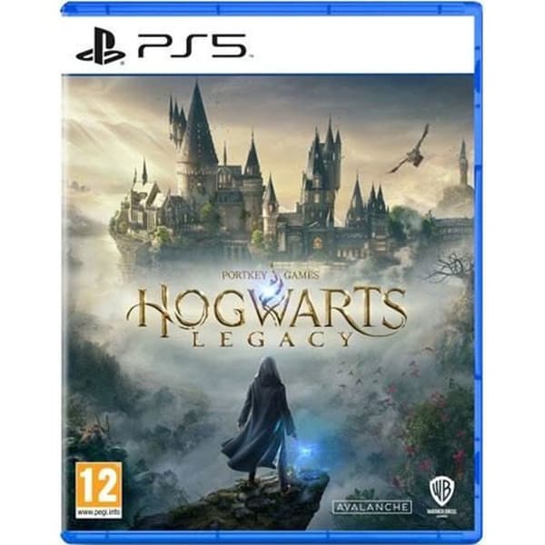 HOGWARTS LEGACY PS5-spel Flerfärgad