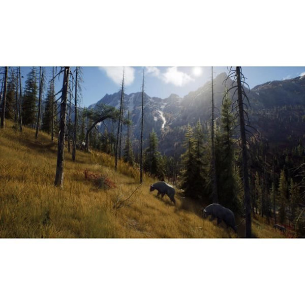 Way of the Hunter Xbox Series X-spel