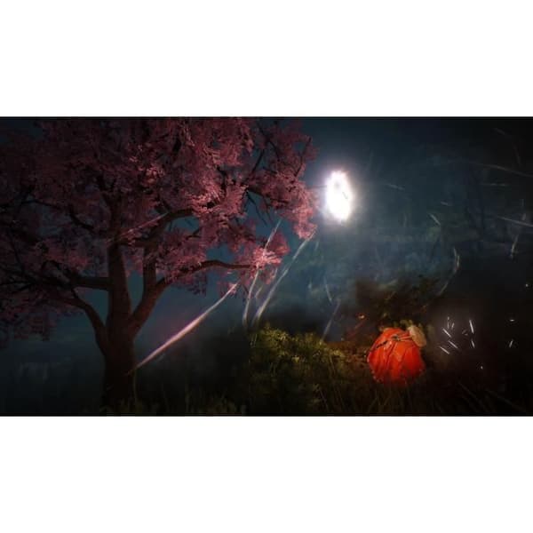 Black Desert - Prestige Edition Spil PS4 Hvid
