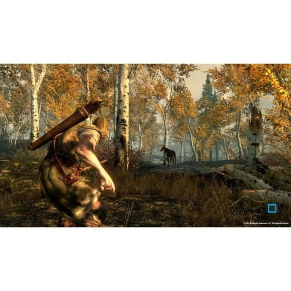 SKYRIM THE ELDER SCROLLS V / PS3-konsolipeli