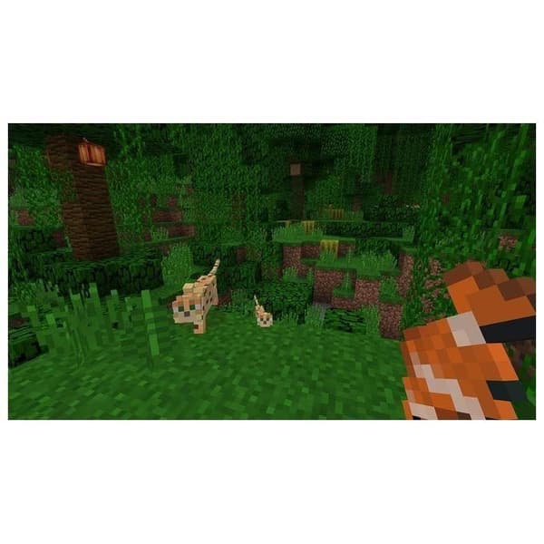 Nintendo Minecraft, Switch, Action-Adventure, Multiplayer, E (For Everyone)