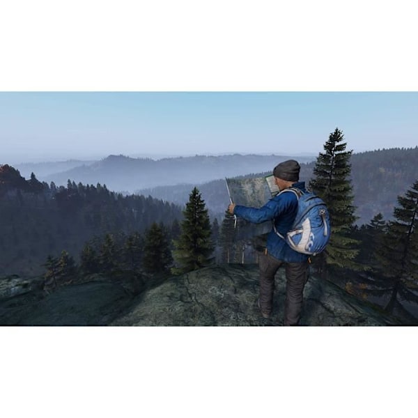 Strategispil - DayZ - PS4 - Online-tilstand - Op til 60 spillere - Standard Edition