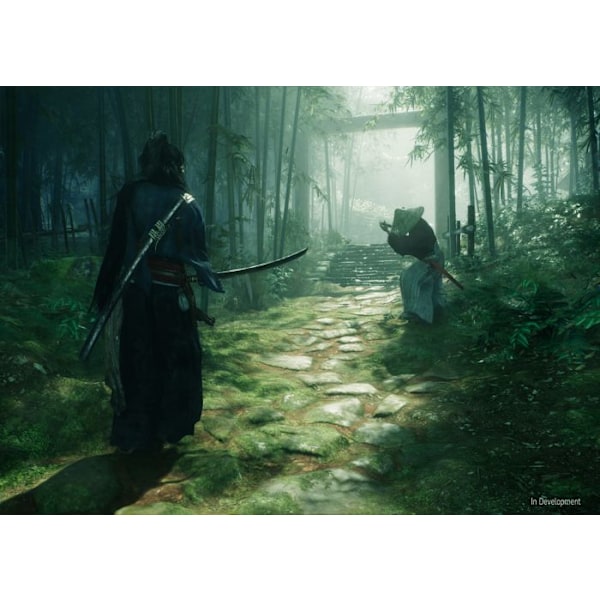 Spel PS5 - Rise of the Ronin - Action, Äventyr - Fysisk version - PEGI 18+ - Utgivning 22 Mars 2024