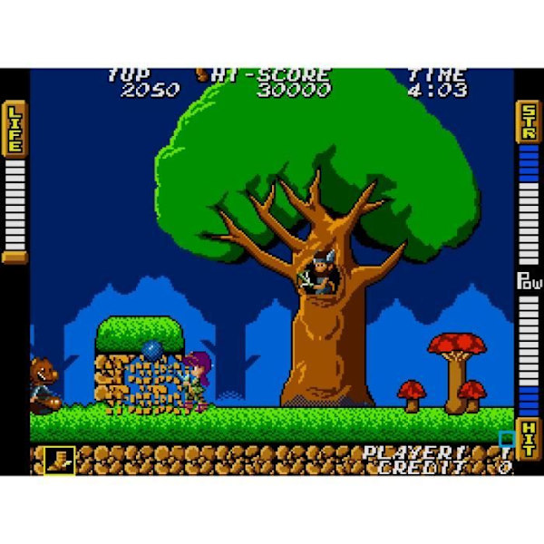 SNK 40 års jubilæumssamling