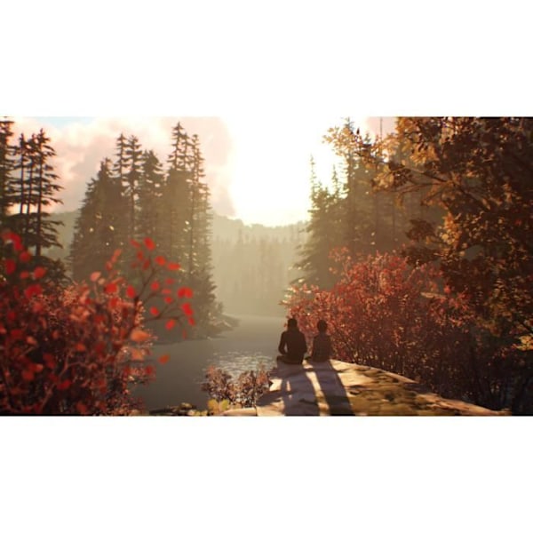 Life is Strange 2 PS4-peli