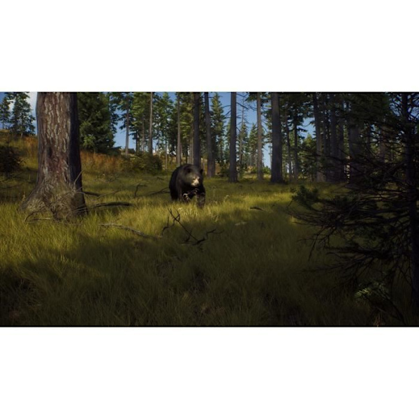 Way of the Hunter Xbox Series