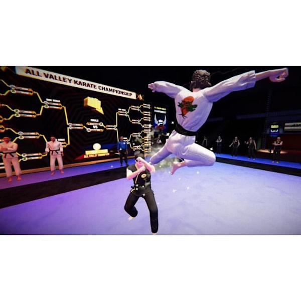 Cobra Kai 2 Dojos Rising Switch Game