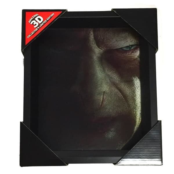 3D-plakat - Harry Potter - Harry/Voldemort - Multifarvet - Moderne - Rektangulær Multifarvet