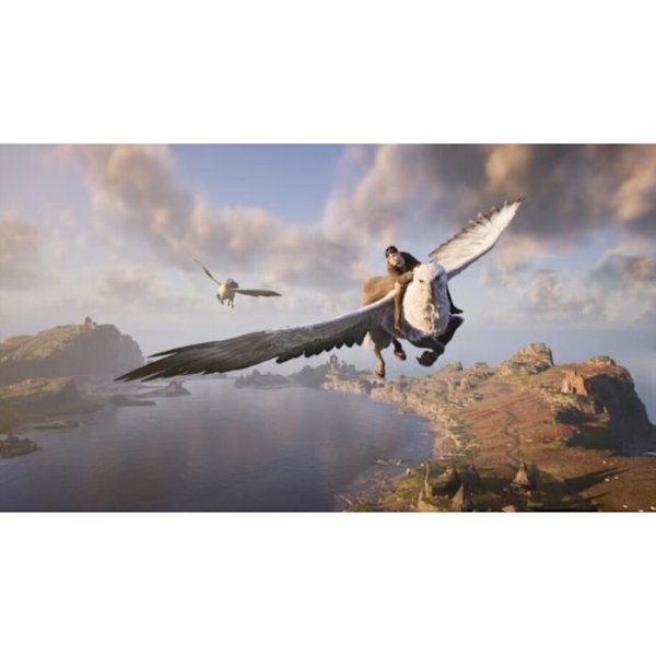 HOGWARTS LEGACY: HOGWARTS LEGACY PS4-spil Vit