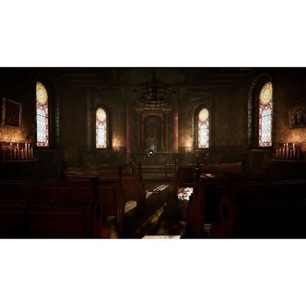 L’Amerzone: Tutkijan Testamentti - PS5-peli