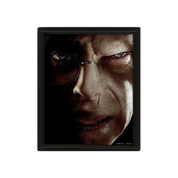 3D-plakat - Harry Potter - Harry/Voldemort - Multifarvet - Moderne - Rektangulær Multifarvet
