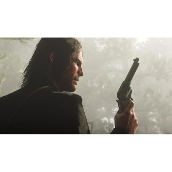 Videospil - Rockstar Games - Red Dead Redemption 2 - PS4 - Onlinetilstand - 1 spiller