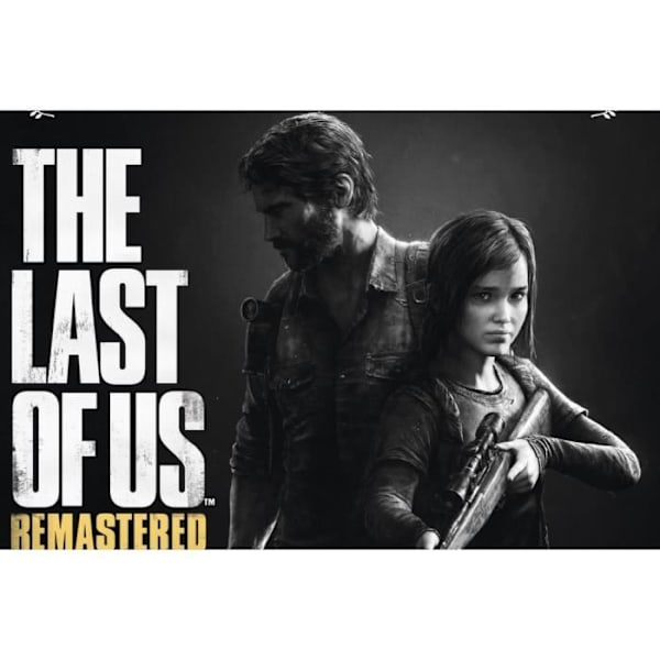 The Last of Us REMASTERED HITS (endast PS4)