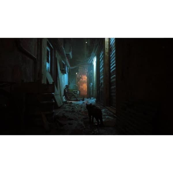 Stray - Nintendo Switch -peli