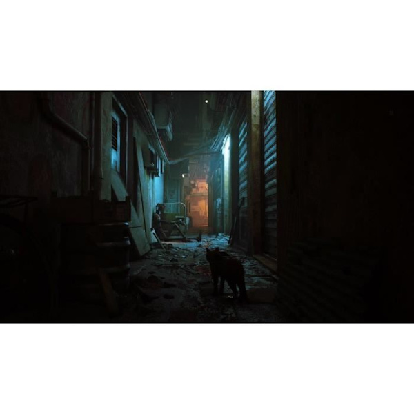 Stray - Nintendo Switch-spel