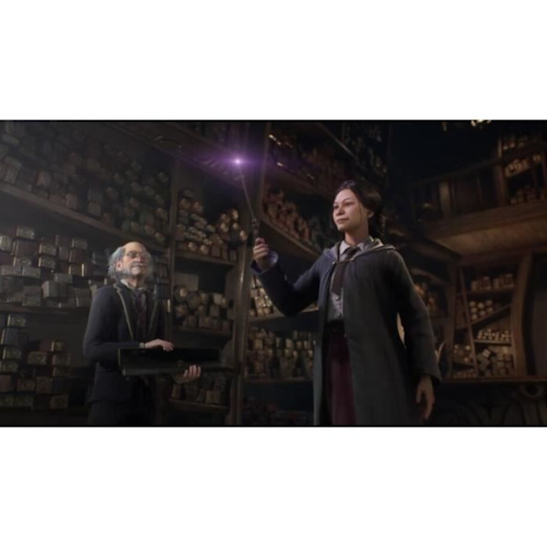 HOGWARTS LEGACY: HOGWARTS LEGACY PS4-spil Vit
