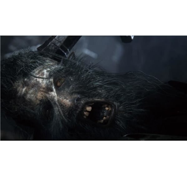 Videopeli - FromSoftware - Bloodborne - PS4-yksinoikeus - RPG - Strateginen toiminta