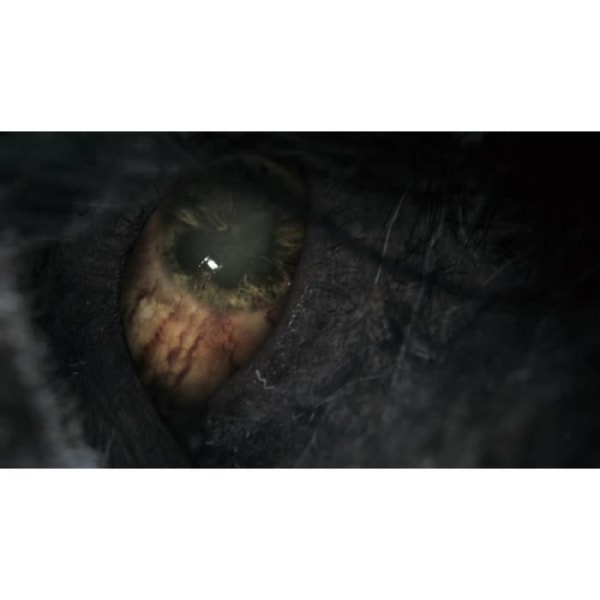 Bloodborne Game Of The Year Edition PS4-spil Vit