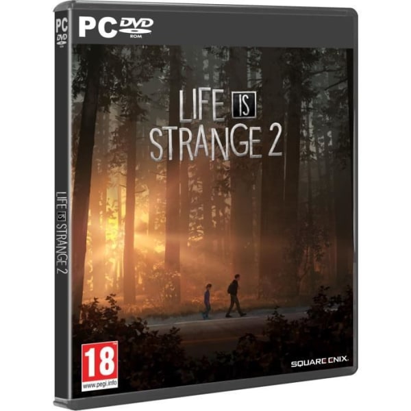 Life is Strange 2 PC-spel