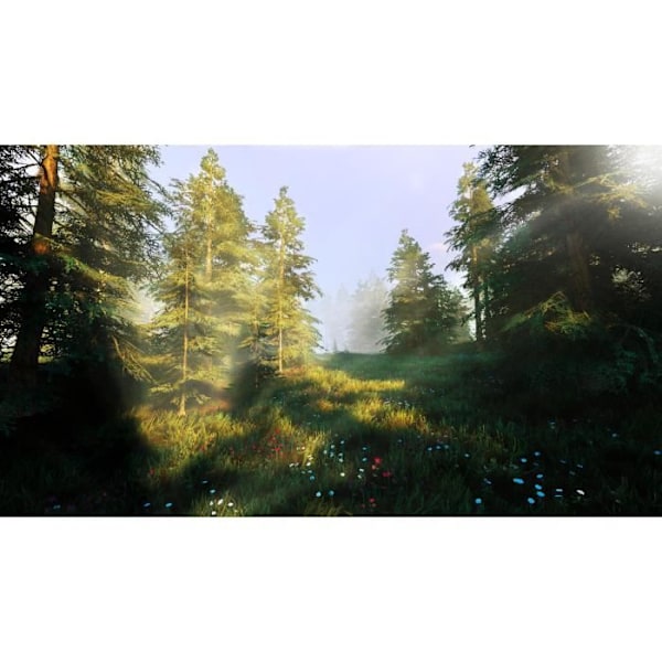 Hunting Simulator 2 PS4 spil Vit