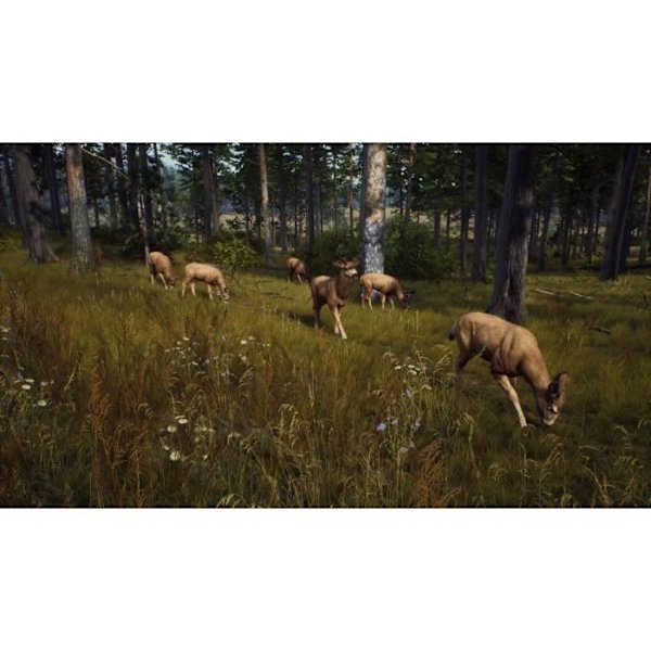 Way of the Hunter Xbox Series